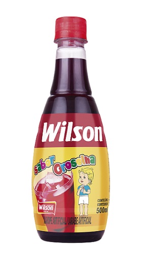 XAROPE GROSELHA WILSON PET 500ML