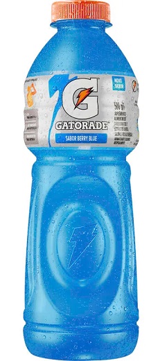 GATORADE 500ML BLUE BERRY GATORADE 500ML BLUE BERRY