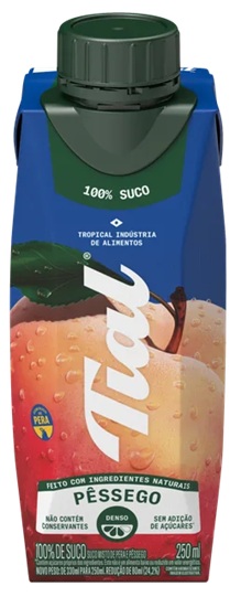 SUCO TP  250ML TIAL 100% PESSEGO+PERA