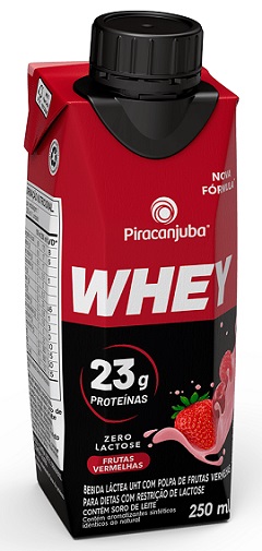 WHEY PROTEINA 23G PROT 250ML ZERO LACTOSE FRUTAS VERMELHAS